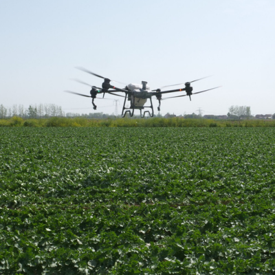 Drone Spreading Fungicide | Airoterra LLC