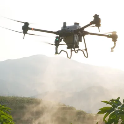 Drone Spraying Herbicide