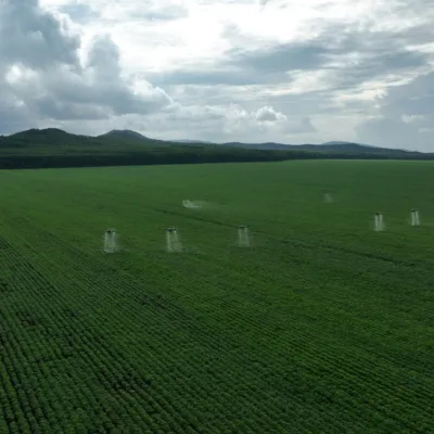 Drone Spraying Insecticide | Airoterra LLC