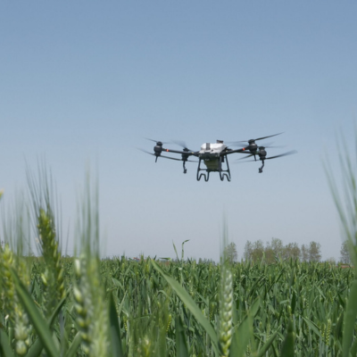 Drone Seeding Service | Airoterra LLC